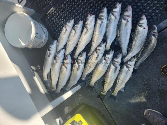 4 lb Bass by Unknown