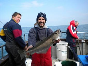 5 lb Pollock by Damian