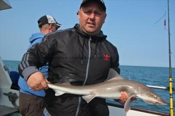 8 lb Starry Smooth-hound by Billy Tomo