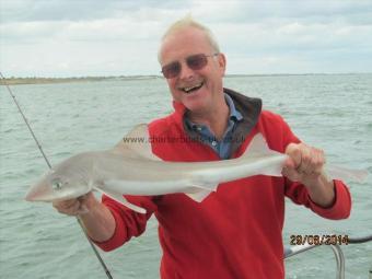 6 lb Smooth-hound (Common) by Jeff Ball