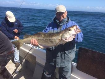 14 lb 12 oz Pollock by Sam