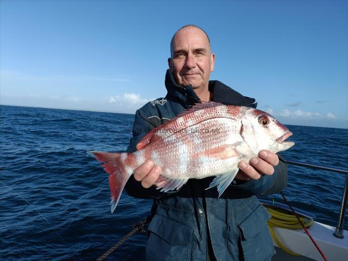 5 lb Couch's Sea Bream by Mike Soanes