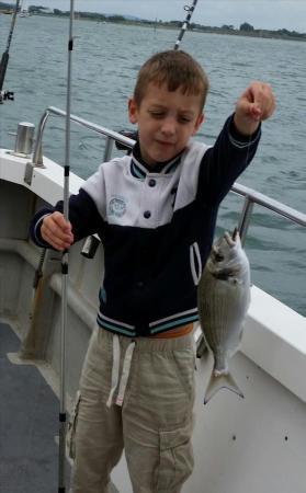 1 lb Gilt-head Sea Bream by Liam Fryer