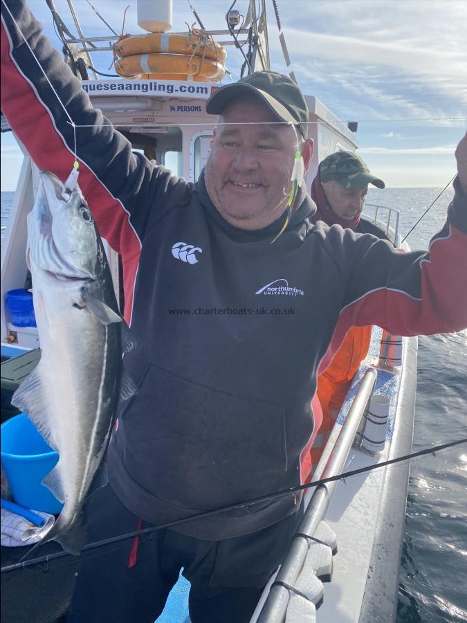 5 lb Coalfish (Coley/Saithe) by Chris.