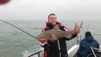 14 lb Smooth-hound (Common) by chris