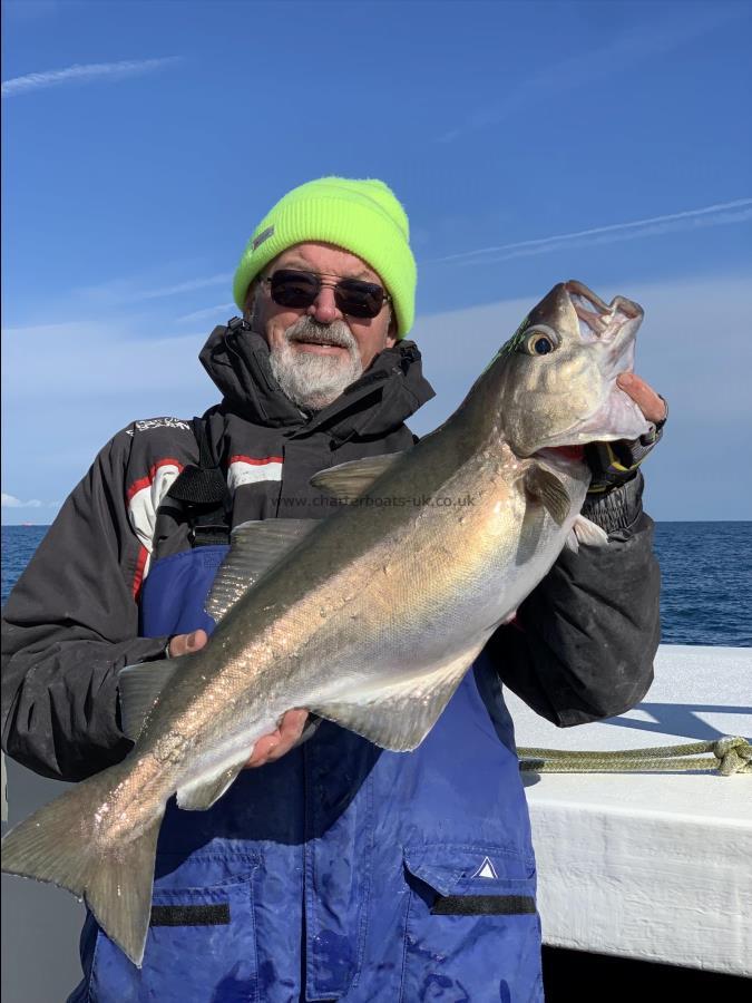 12 lb 10 oz Pollock by Unknown