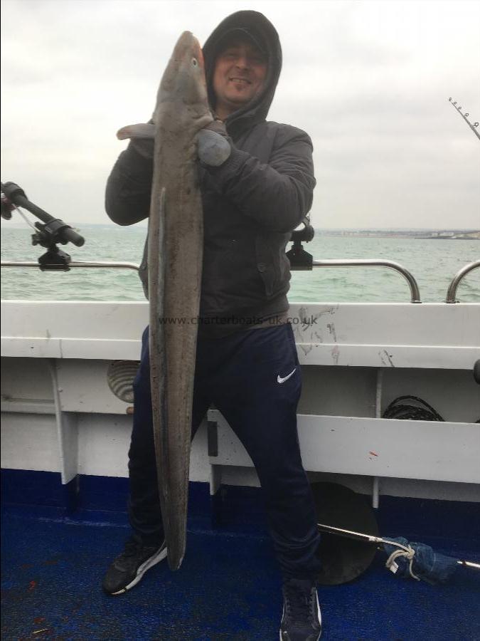 26 lb Conger Eel by Unknown