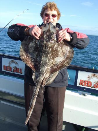 12 lb Undulate Ray by Denise Youngs