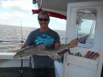6 lb Starry Smooth-hound by Dave Smith