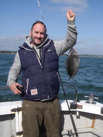 2 lb 8 oz Black Sea Bream by Unknown