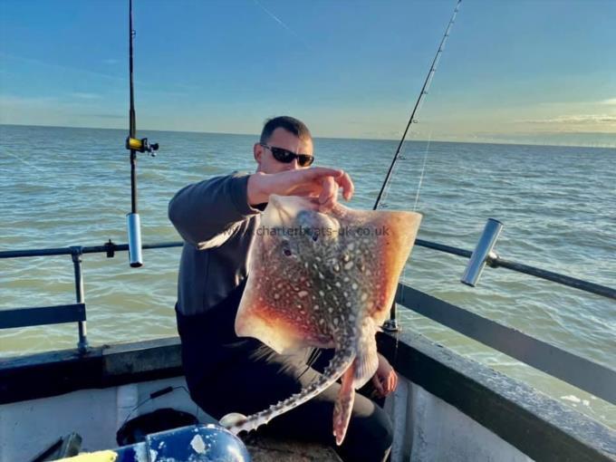 7 lb Thornback Ray by Unknown