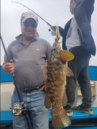 4 lb Ballan Wrasse by Unknown