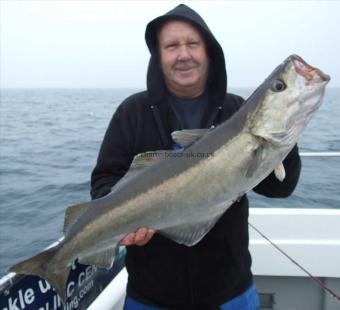 14 lb Pollock by FRank Sapsford