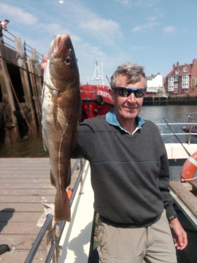 10 lb 3 oz Cod by Paul