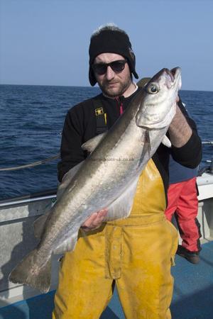 14 lb 8 oz Pollock by Kevin McKie