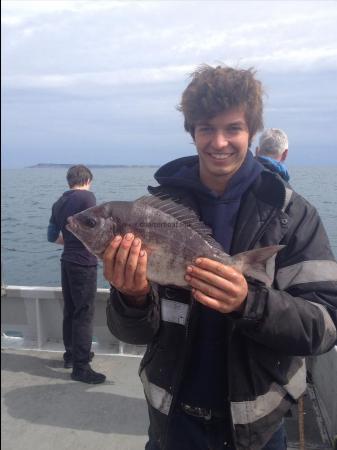 3 lb 2 oz Black Sea Bream by Jamie