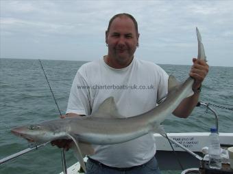 11 lb 6 oz Starry Smooth-hound by andy