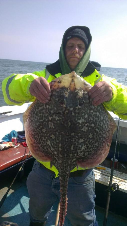 10 lb 1 oz Thornback Ray by Unknown