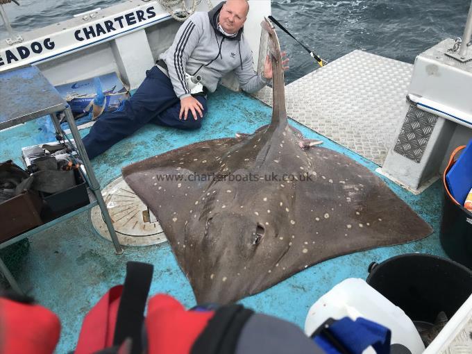 210 lb Common Skate by Unknown