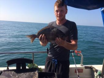 4 lb Black Sea Bream by Nathan Worlock