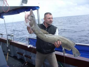 25 lb Ling by Yavos