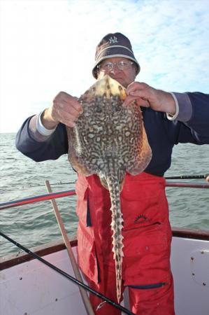 6 lb Thornback Ray by Colin G