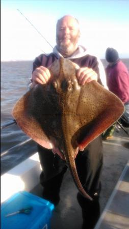 12 lb Blonde Ray by andy