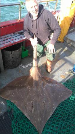 73 lb Common Skate by richard