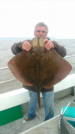 20 lb Blonde Ray by reg