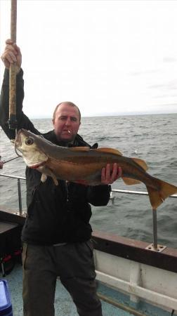 14 lb 8 oz Pollock by Unknown