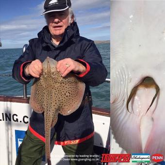 2 lb Spotted Ray by John
