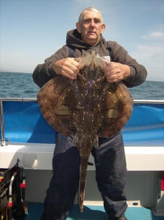 14 lb Undulate Ray by Bob Jenkings