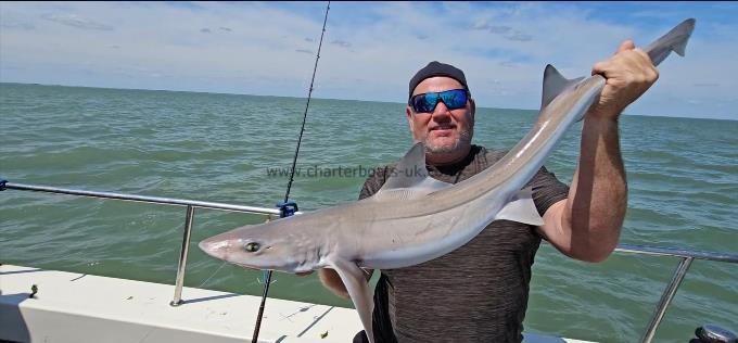 10 lb Smooth-hound by Steve