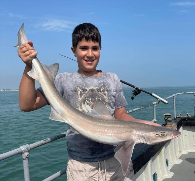 9 lb Smooth-hound by Unknown