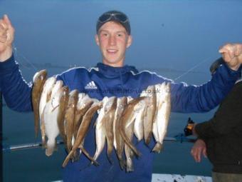 1 lb Whiting by Arek