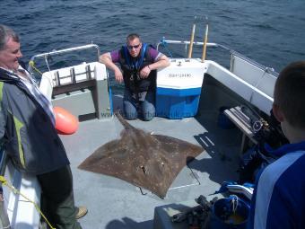 180 lb Common Skate by James Whyte