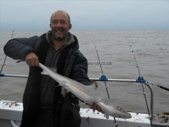 6 lb 9 oz Starry Smooth-hound by Barry