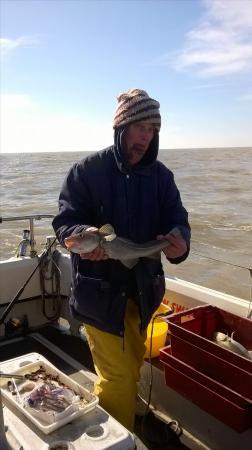 2 lb Cod by roger berry