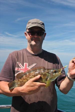 2 lb Ballan Wrasse by Ian