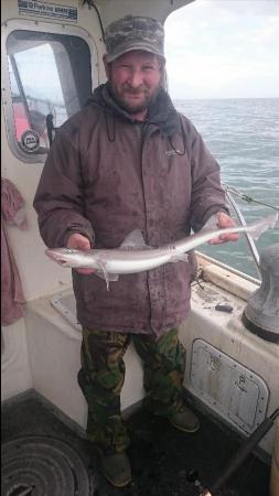 3 lb Starry Smooth-hound by Bob Marshall