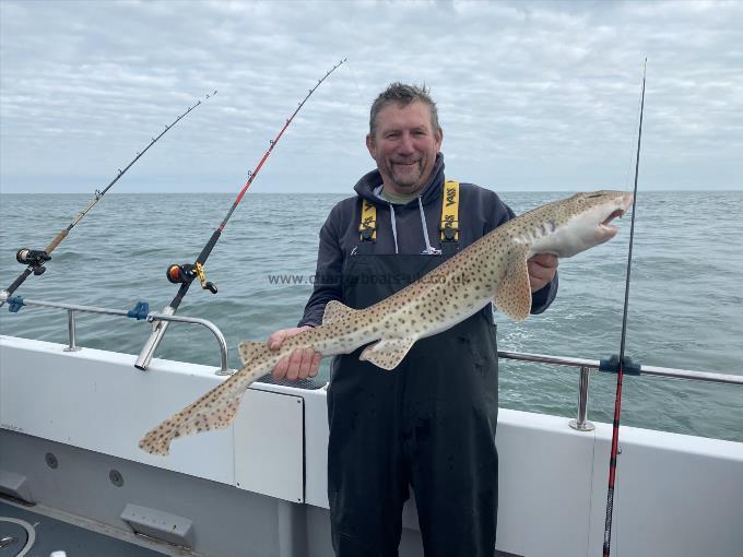 11 lb 8 oz Bull Huss by Kev griffiths