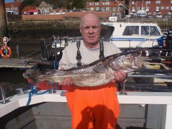10 lb Cod by Terry Harrison