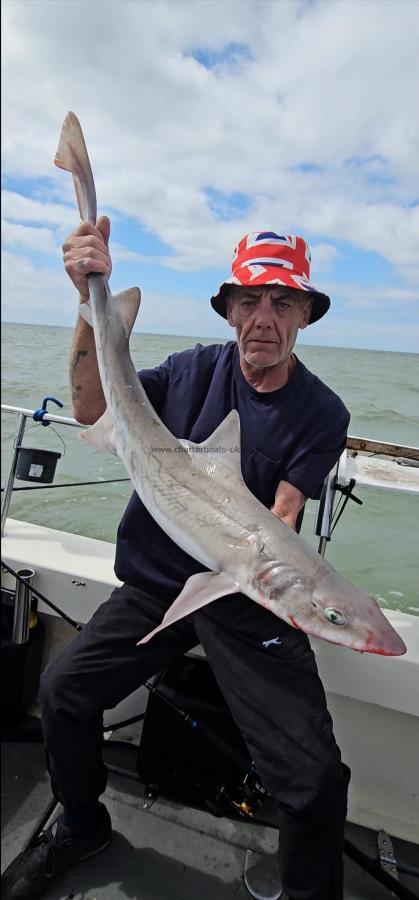 9 lb 5 oz Smooth-hound by Rick