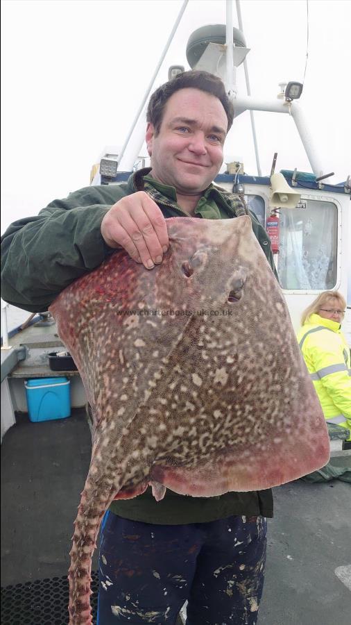 14 lb 3 oz Thornback Ray by Robert from Southend