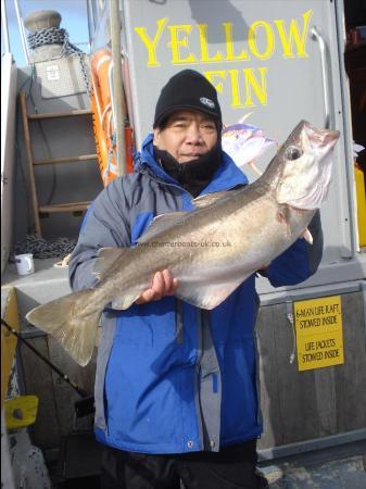 17 lb 8 oz Pollock by Johny