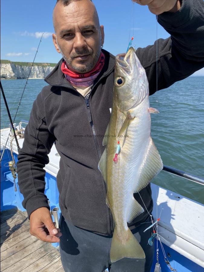 3 lb Pollock by Stephan