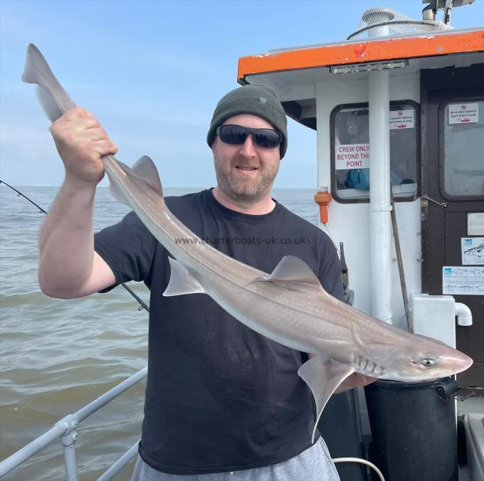 7 lb Smooth-hound (Common) by Unknown