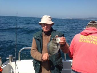 2 lb 8 oz Black Sea Bream by Robert Porter