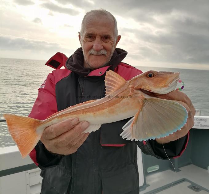 2 lb Tub Gurnard by Neil