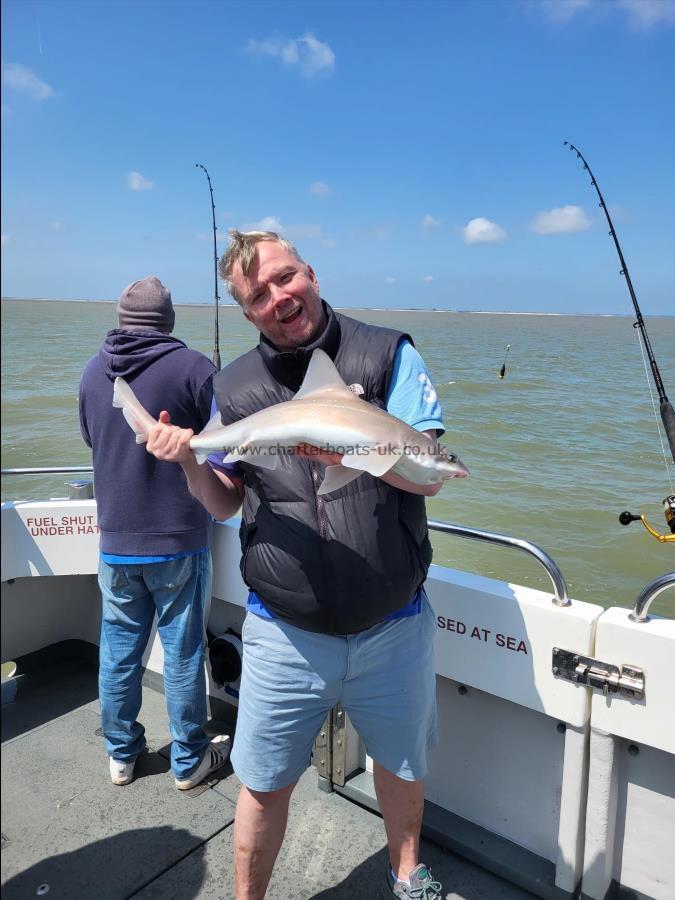 8 lb 4 oz Smooth-hound (Common) by Brian Forsyth
